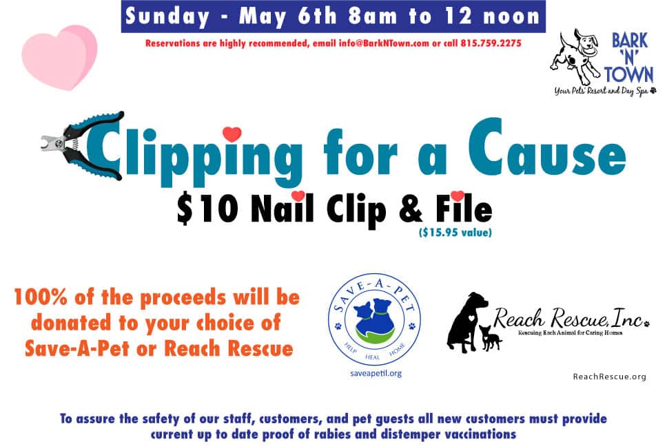 Clipping for a Cause 2018