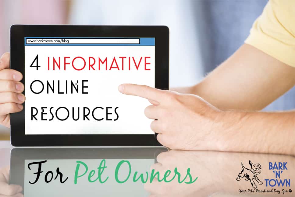 4 Informative Online Resources for Pet Owners
