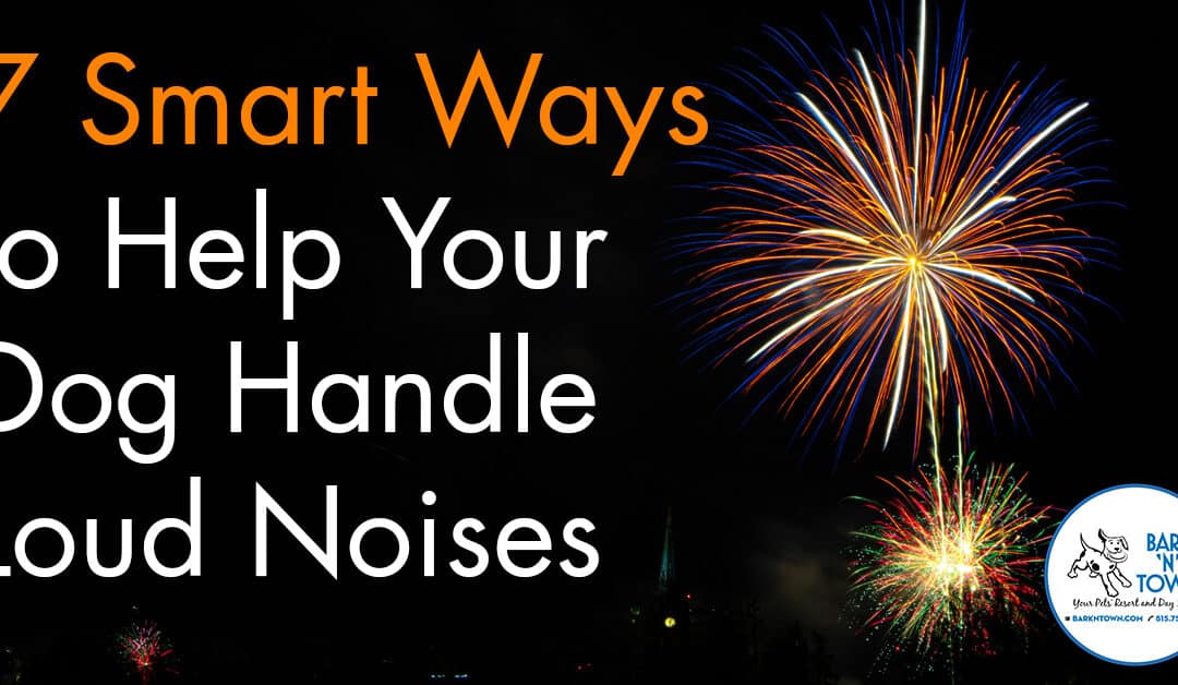7 Smart Ways to Help Your Dog Handle Loud Noises